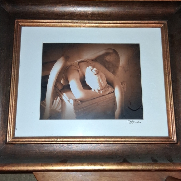 Elegant Bronze Framed Art Print